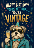 BIRTHDAY OLD DOG