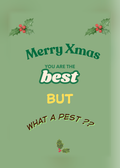 Christmas card with a sage green background and two holly sprigs, with the words 'Merry Xmas, you are the best but what a pest??'.
